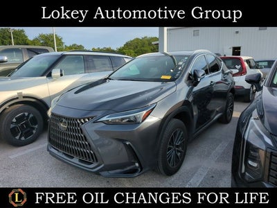 2024 Lexus NX 250 Premium